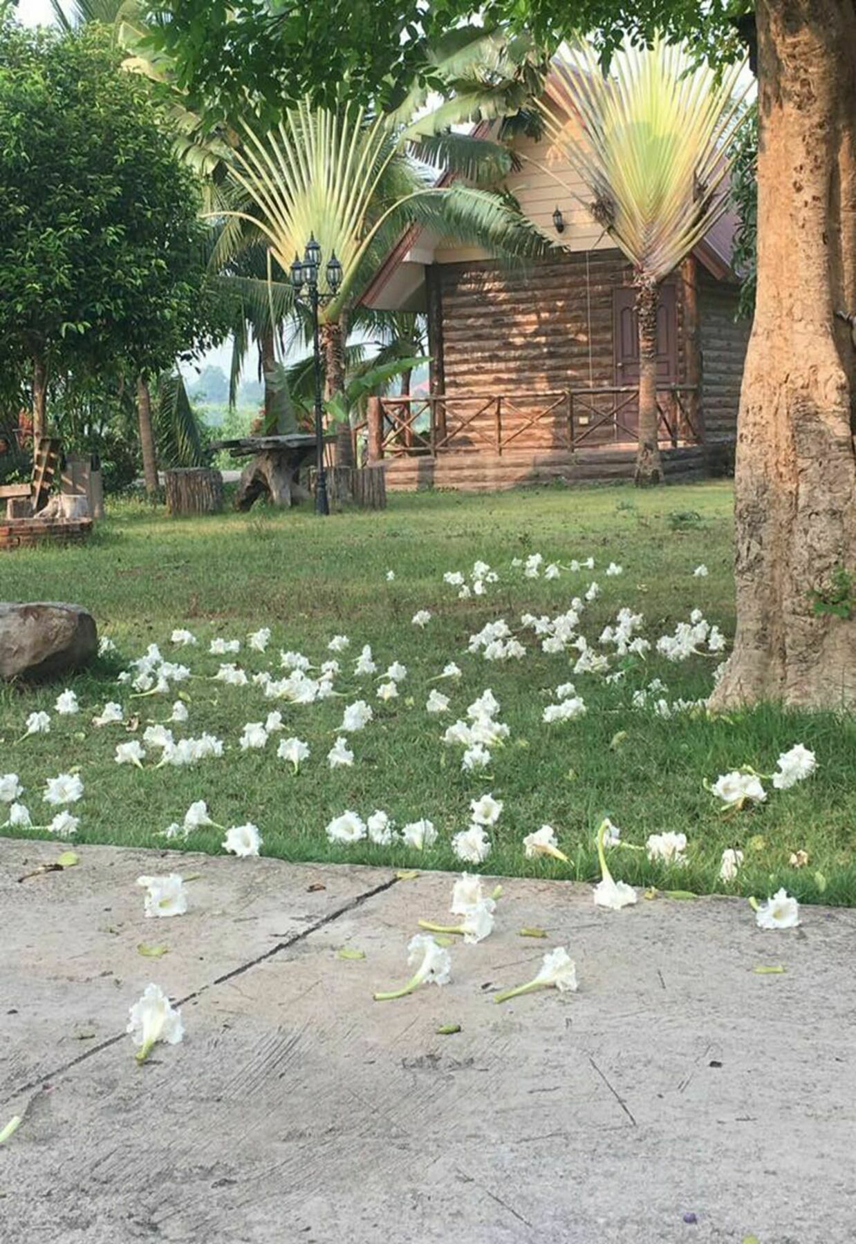 Bansuan Chomdao Resort ขอนแก่น ภายนอก รูปภาพ